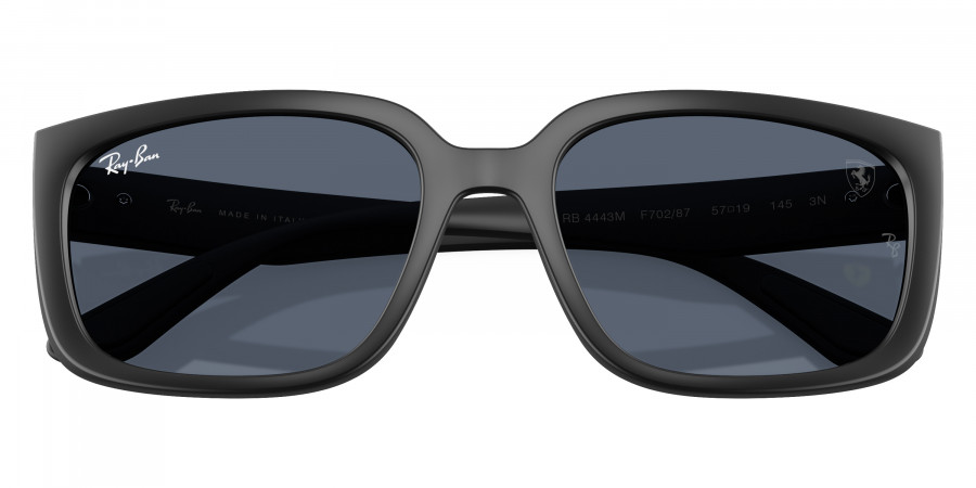 Ray-Ban™ - RB4443M
