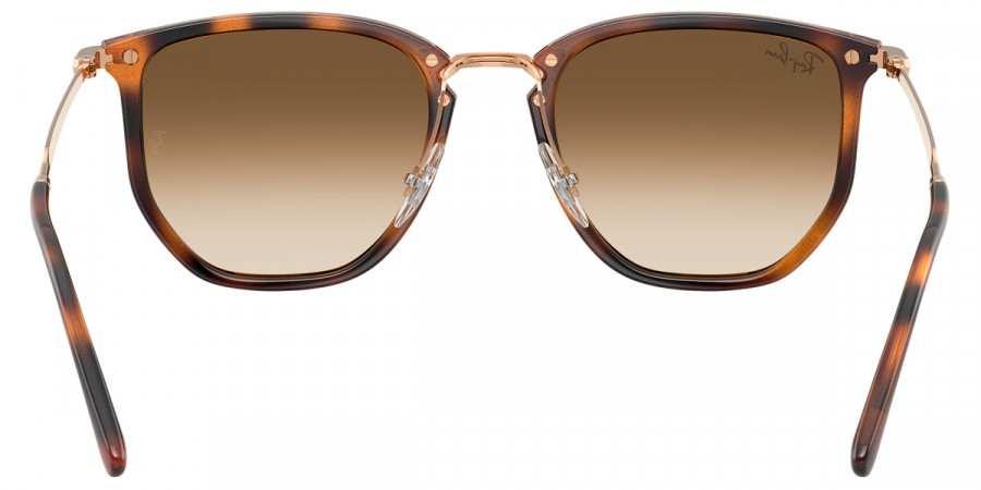 Ray-Ban™ - RB4451