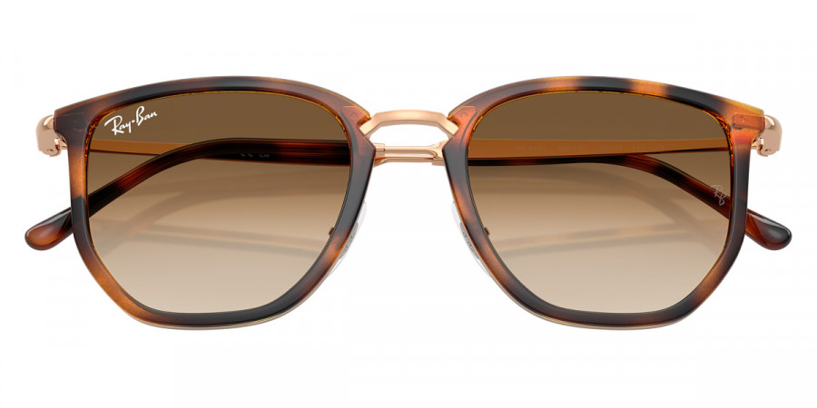 Ray-Ban™ - RB4451