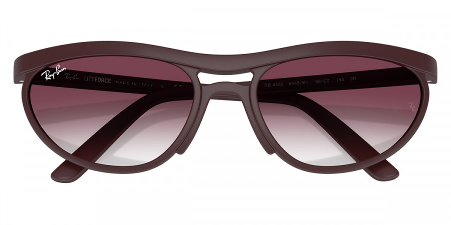 Ray-Ban™ - RB4453