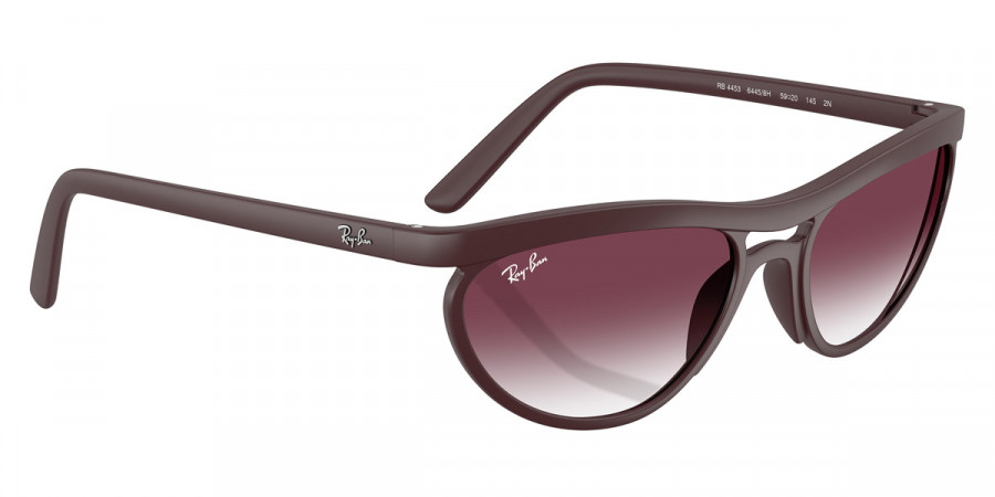 Ray-Ban™ - RB4453