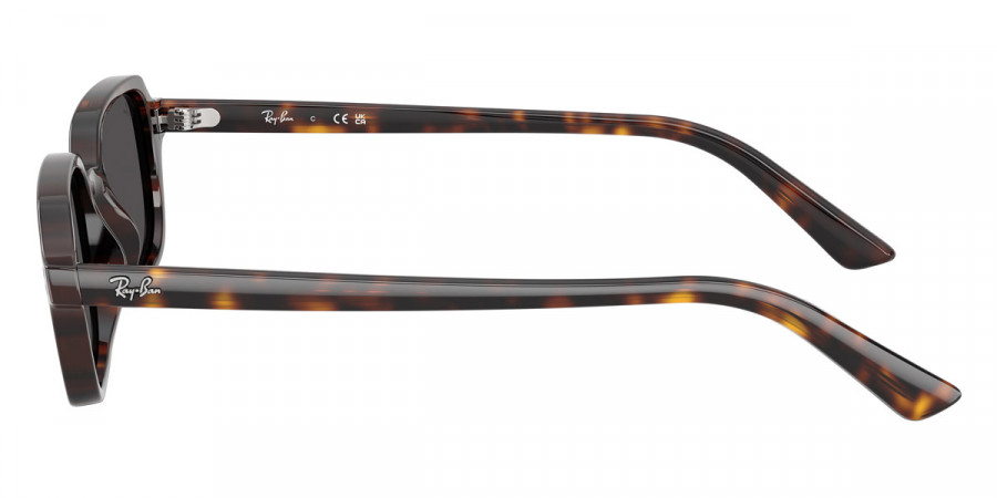 Ray-Ban™ - Zuri RB4455F