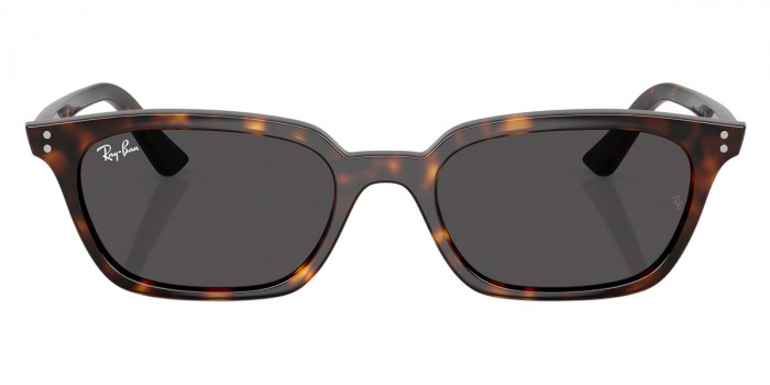 Ray-Ban™ - Zaya RB4456F