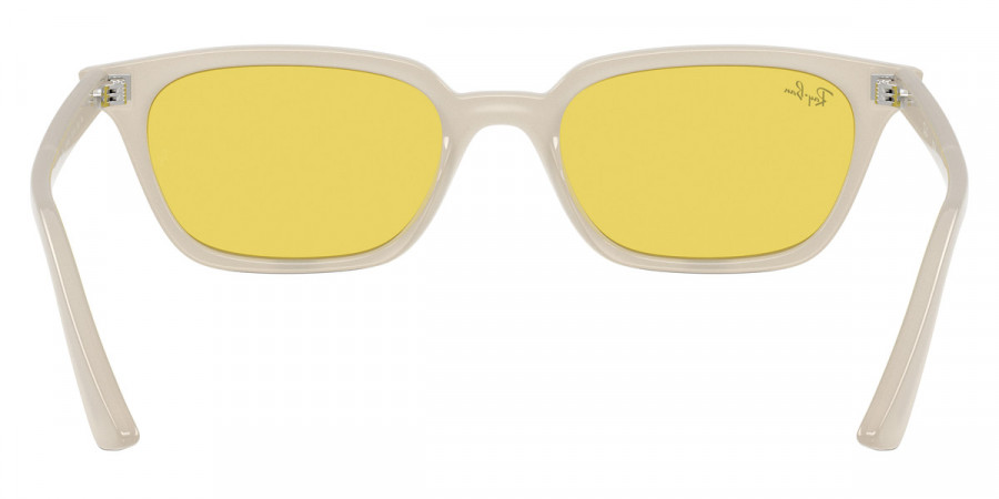 Ray-Ban™ - Zaya RB4456F