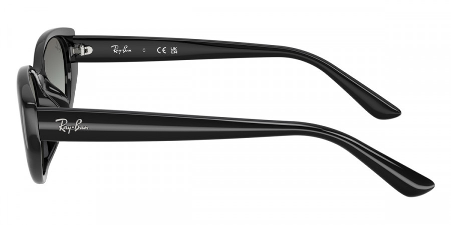 Ray-Ban™ - RB4457D