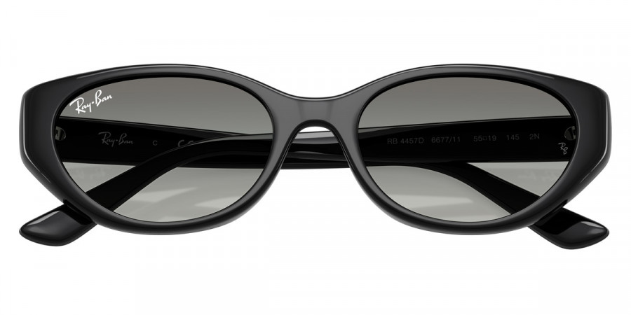 Ray-Ban™ - RB4457D