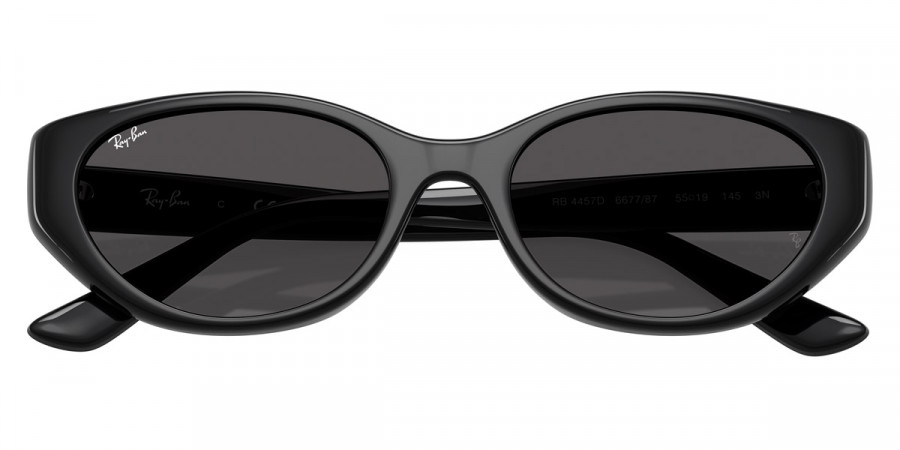 Ray-Ban™ - RB4457D