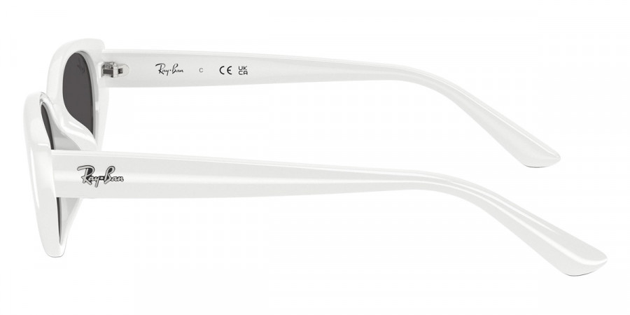 Ray-Ban™ - RB4457D
