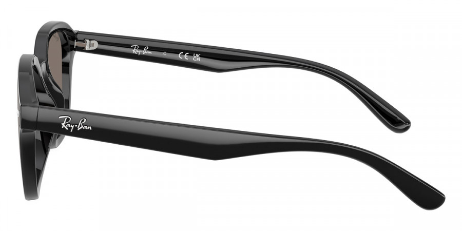 Ray-Ban™ - RB4458D