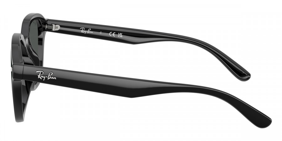 Ray-Ban™ - RB4458D