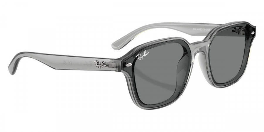 Ray-Ban™ - RB4458D