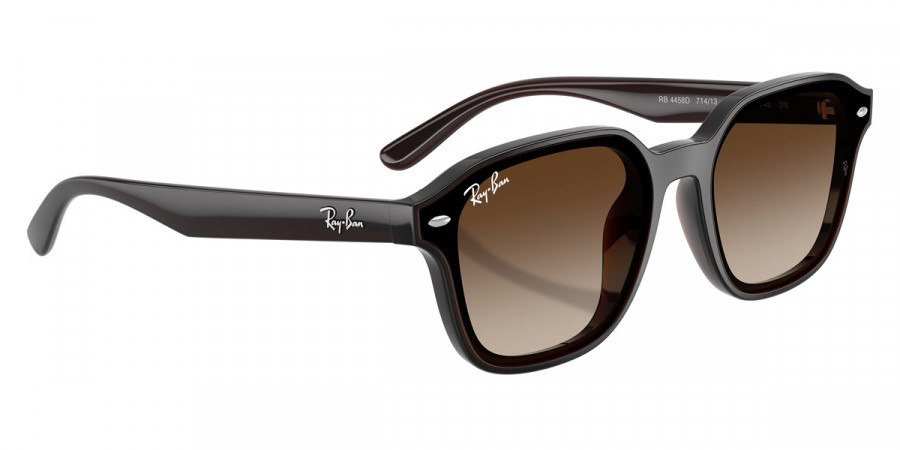 Ray-Ban™ - RB4458D