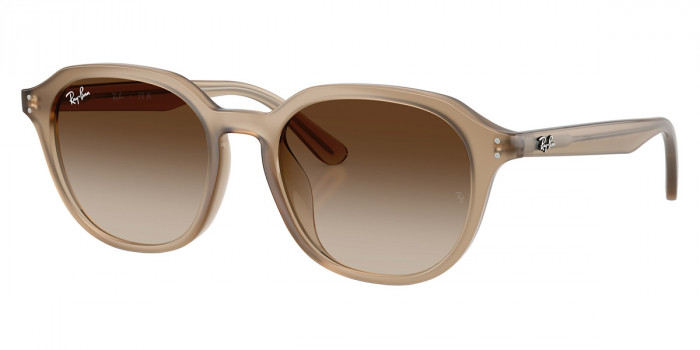 Ray-Ban™ - RB4459D