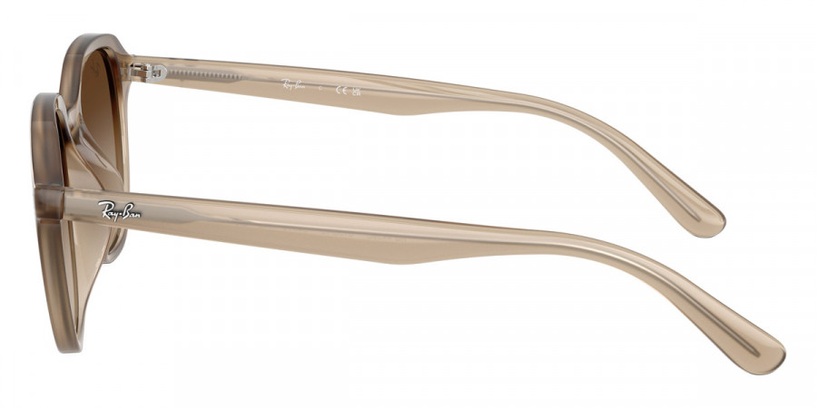 Ray-Ban™ - RB4459D