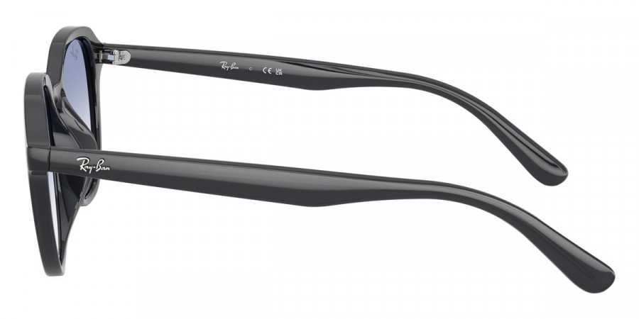 Ray-Ban™ - RB4459D