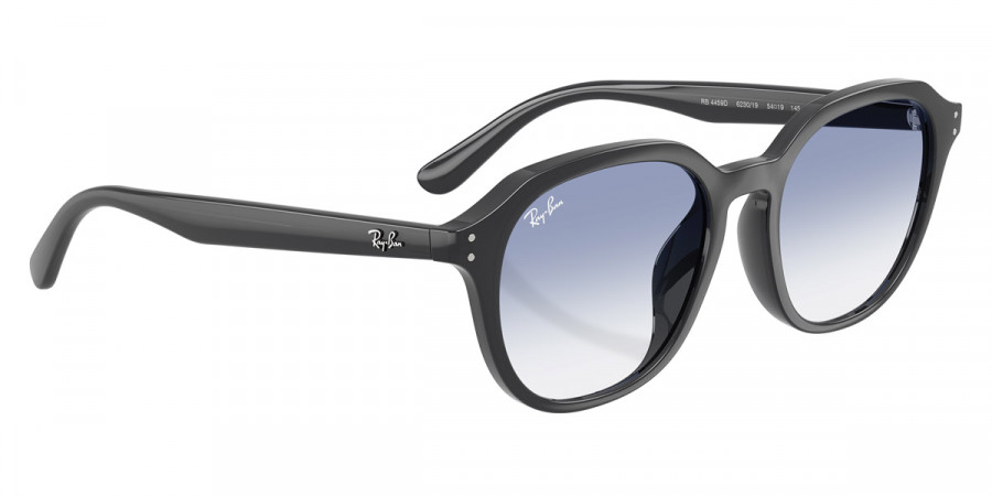 Ray-Ban™ - RB4459D