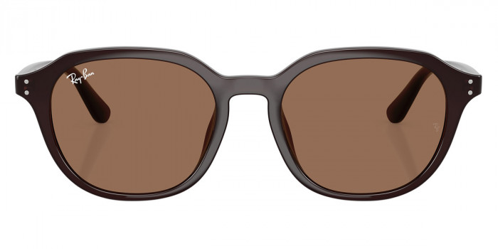 Ray-Ban™ RB4459D 623173 54 - Opal Brown