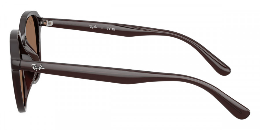Ray-Ban™ - RB4459D