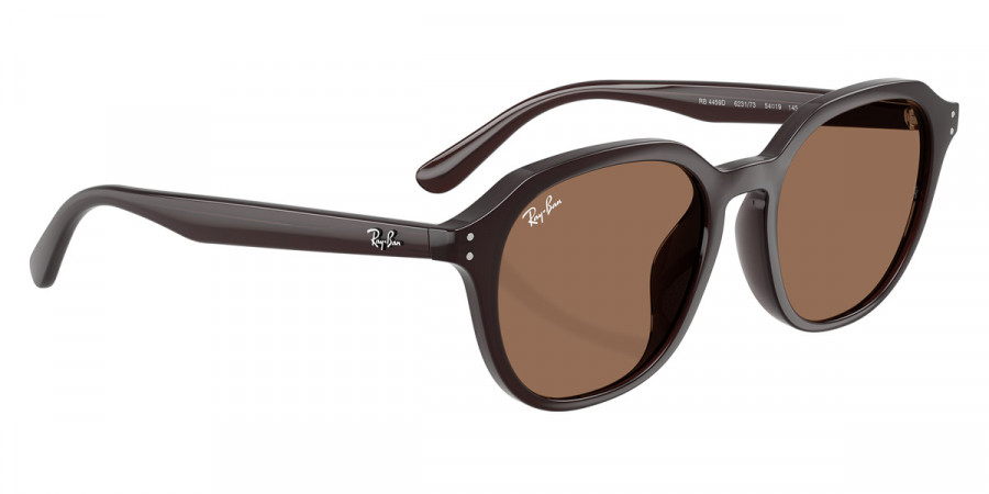 Ray-Ban™ - RB4459D
