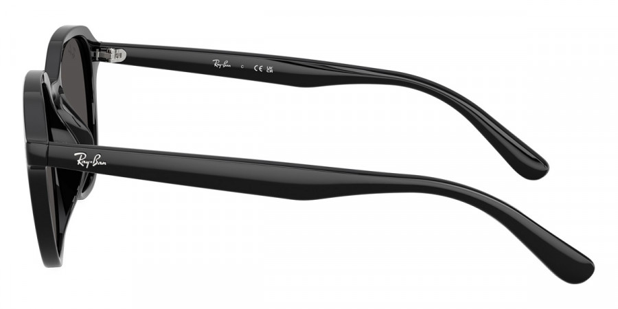 Ray-Ban™ - RB4459D