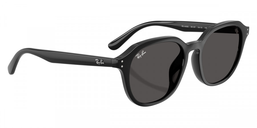 Ray-Ban™ - RB4459D
