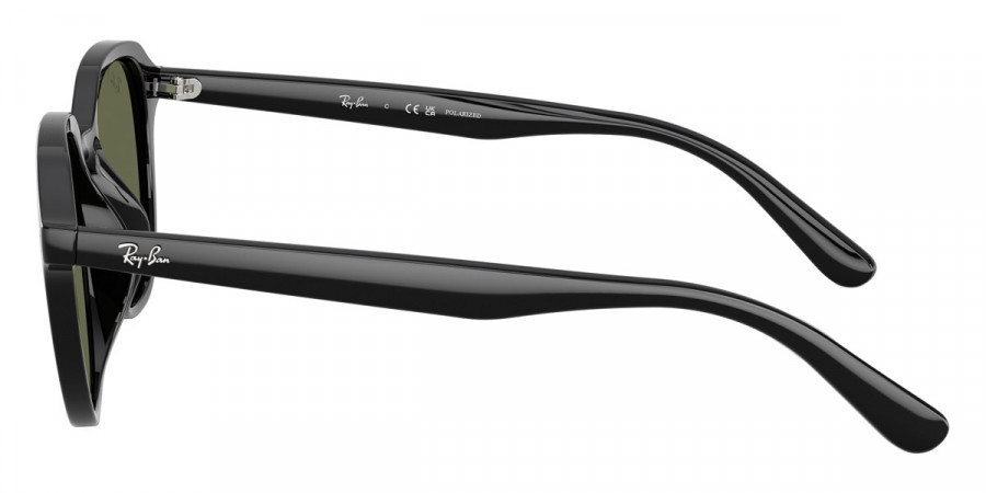 Ray-Ban™ - RB4459D
