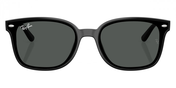 Ray-Ban™ RB4461D 601/87 64 - Black