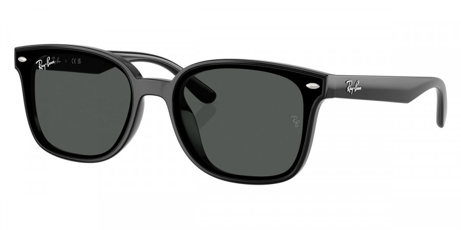 Ray-Ban™ - RB4461D