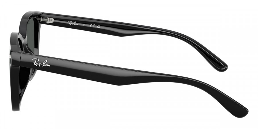 Ray-Ban™ - RB4461D