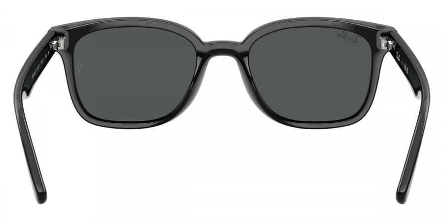 Ray-Ban™ - RB4461D
