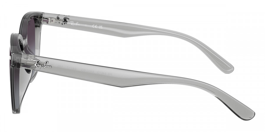 Ray-Ban™ - RB4461D