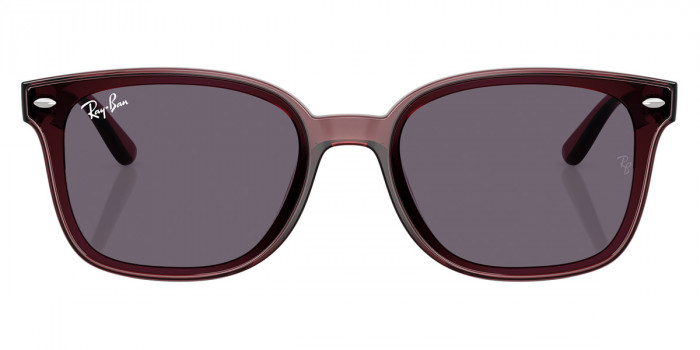 Ray-Ban™ RB4461D 659373 64 - Transparent Dark Brown