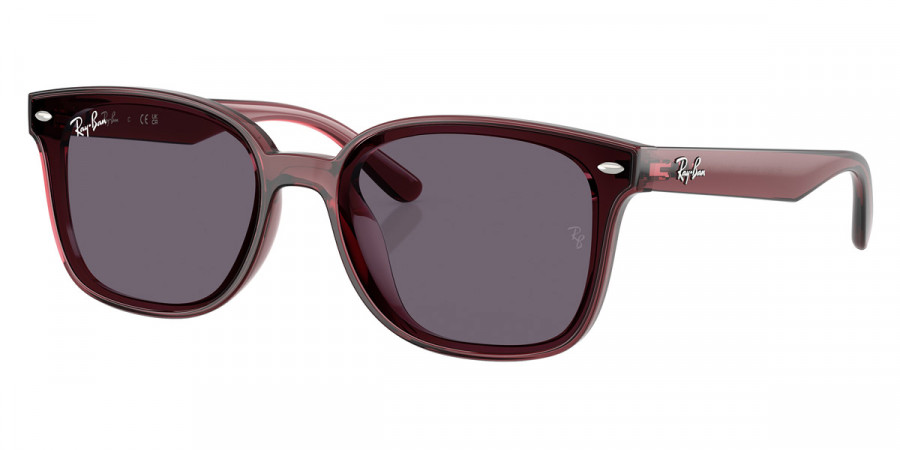 Ray-Ban™ - RB4461D