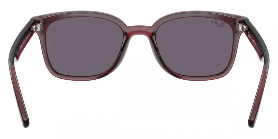 Ray-Ban™ - RB4461D