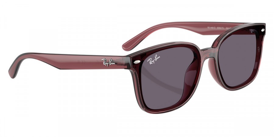 Ray-Ban™ - RB4461D