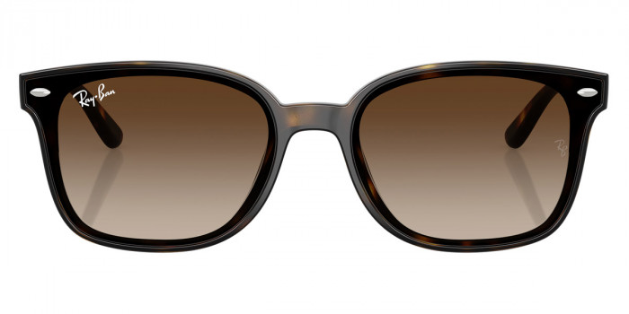 Ray-Ban™ RB4461D 710/13 64 - Havana