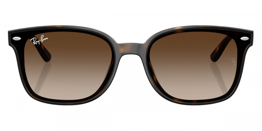 Ray-Ban™ - RB4461D