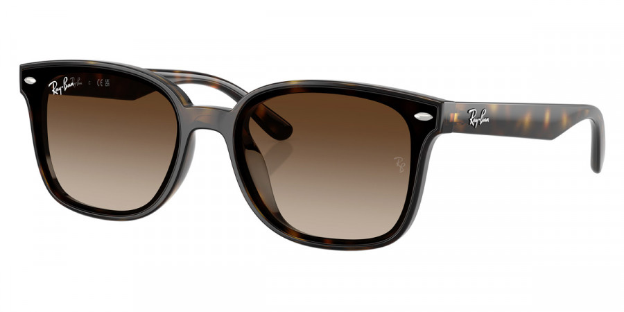Ray-Ban™ - RB4461D