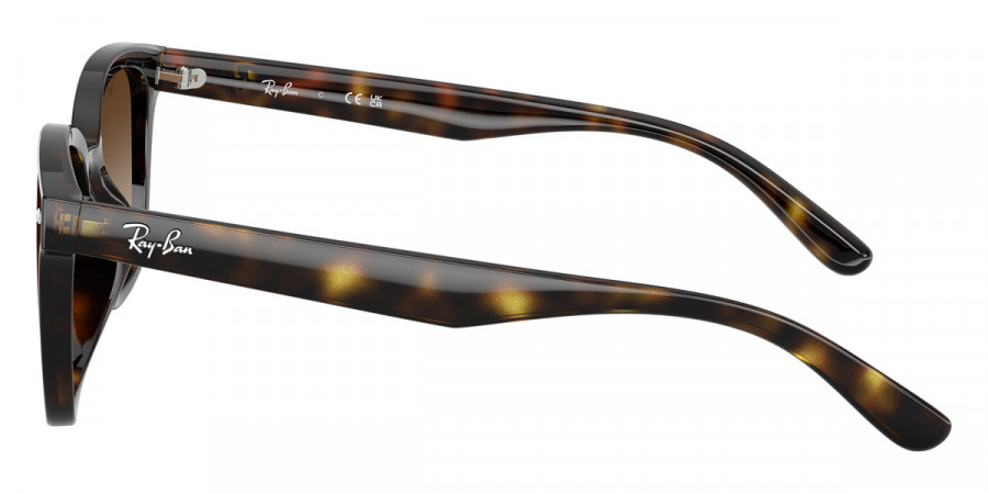Ray-Ban™ - RB4461D