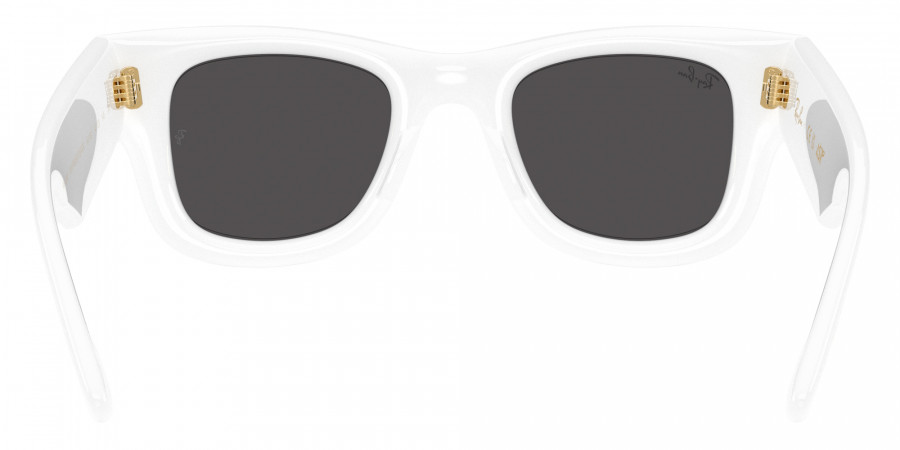 Ray-Ban™ - Wayfarer Puffer RB4940