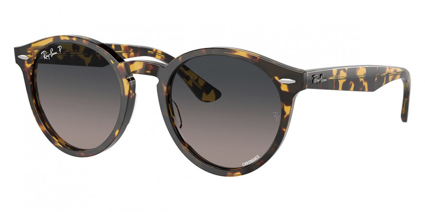 Ray-Ban™ - Larry RB7680S