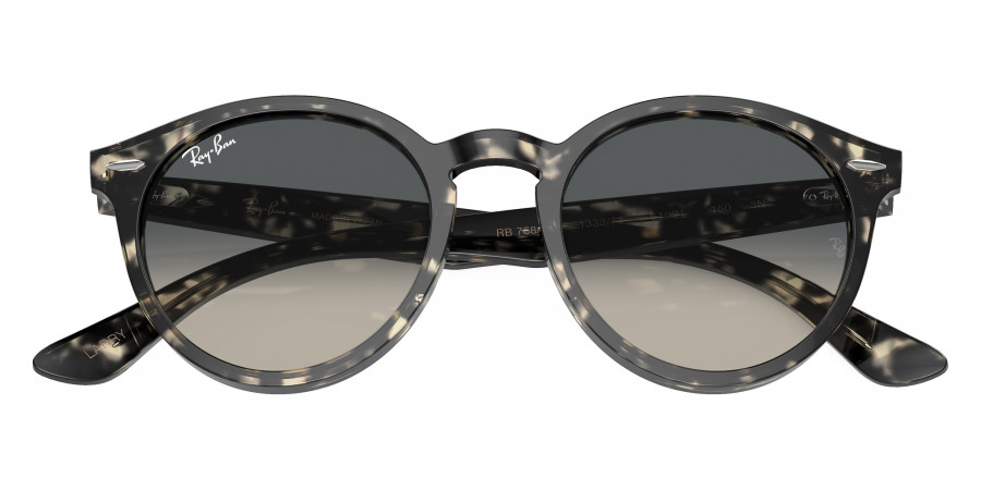 Ray-Ban™ - Larry RB7680S