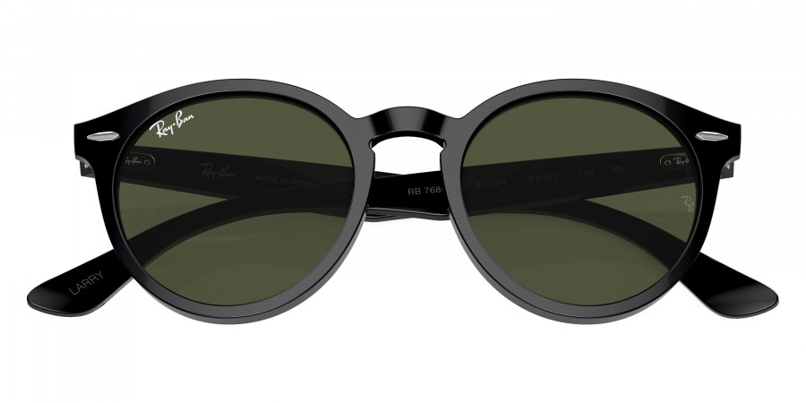 Ray-Ban™ - Larry RB7680S