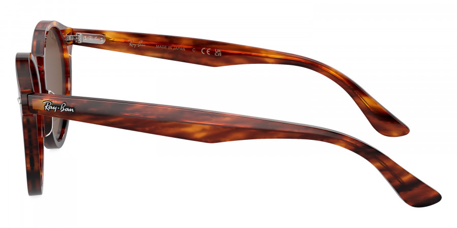 Ray-Ban™ - Larry RB7680S