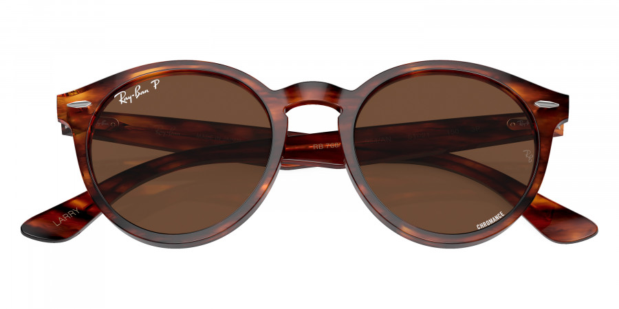Ray-Ban™ - Larry RB7680S