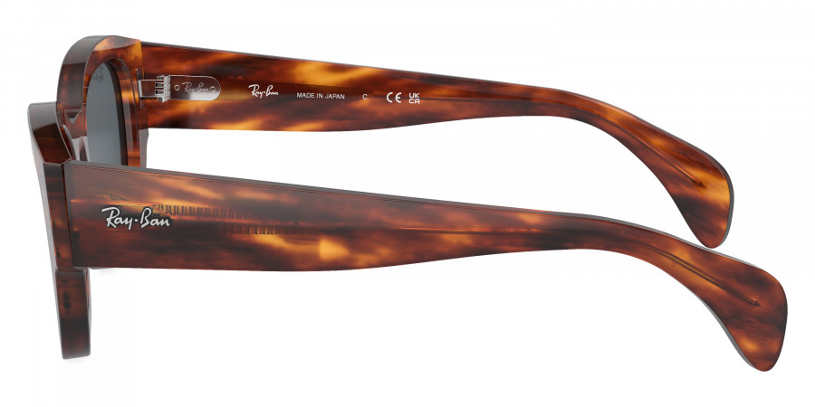Ray-Ban™ - Jorge RB7681SF