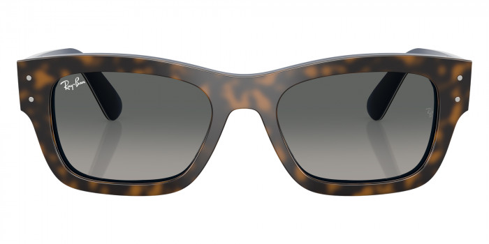 Ray-Ban™ - RB7683S Joseph