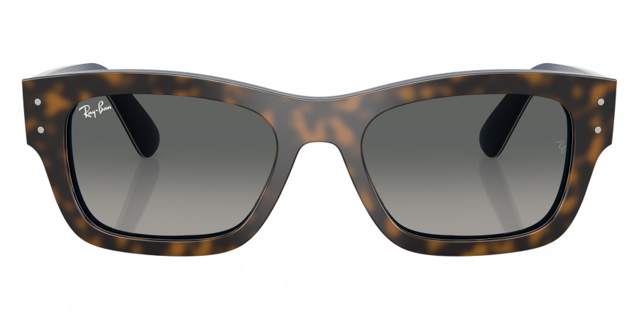 Ray-Ban™ - RB7683S Joseph