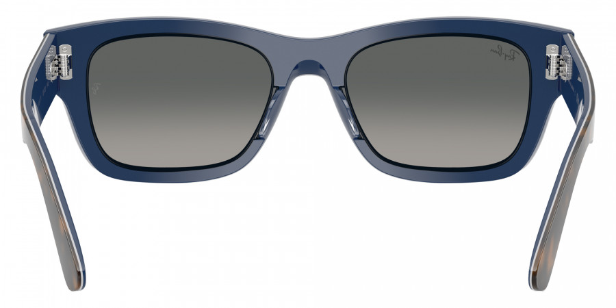 Ray-Ban™ - RB7683S Joseph