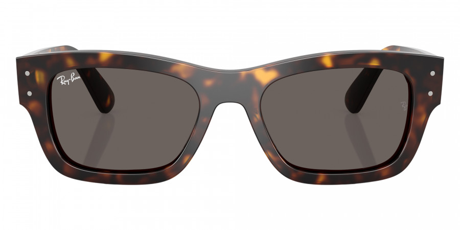 Ray-Ban™ - RB7683S Joseph